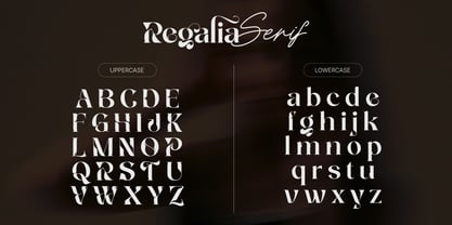 Regalia Noire Pro Font Poster 3