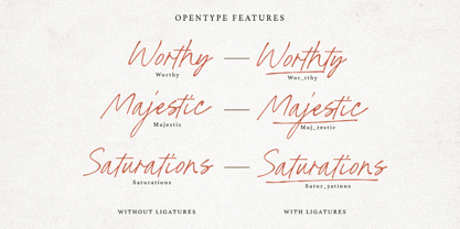 North Stains Font Poster 10