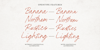 North Stains Font Poster 11