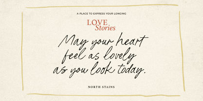 North Stains Font Poster 7