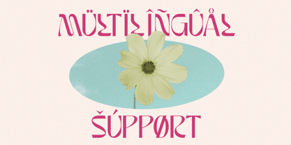 Noaction Font Poster 8