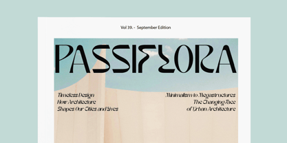 Noaction Font Poster 7