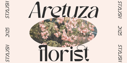 Noaction Font Poster 4