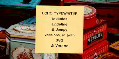 Echo Typewriter Font Poster 3