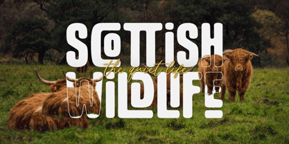 Batchan Font Poster 6