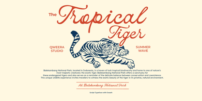 Summer Wave Font Poster 2
