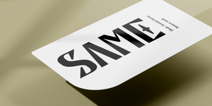 Bactaviya Variable Font Poster 9