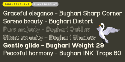 Bughari Font Poster 4