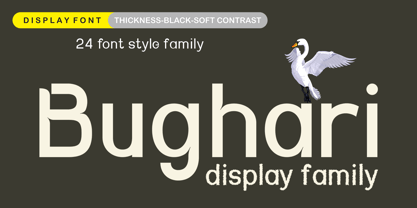 Bughari Font Poster 1