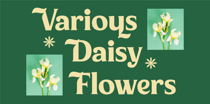 Milan Wulko Font Poster 3