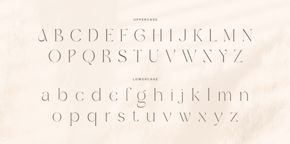 Glossy SS Font Poster 11
