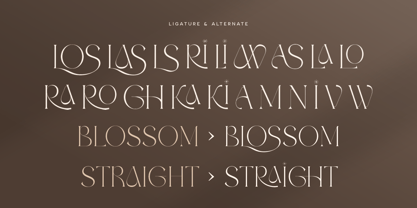Glossy SS Font Poster 10