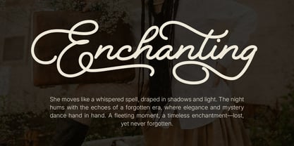 Rivaldy Monoline Script Pro Font Poster 15