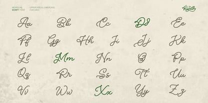 Rivaldy Monoline Script Pro Font Poster 6