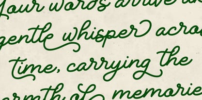 Rivaldy Monoline Script Pro Font Poster 14