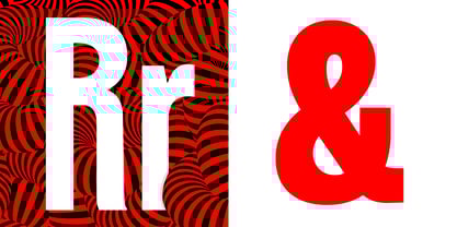 Gringa Font Poster 7