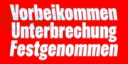 Gringa Font Poster 4