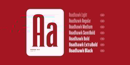 Roadhawk Font Poster 2