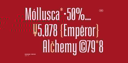 Roadhawk Font Poster 11