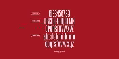 Roadhawk Font Poster 10