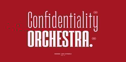 Roadhawk Font Poster 6