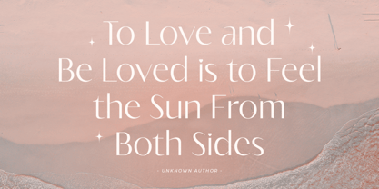 Badger Font Poster 9