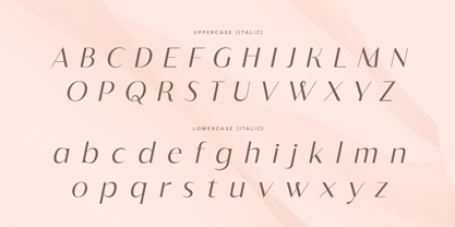 Badger Font Poster 11