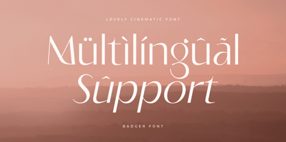 Badger Font Poster 13