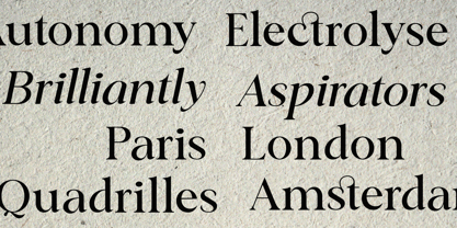 Classical Premiera Font Poster 12