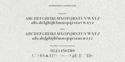Classical Premiera Font Poster 14