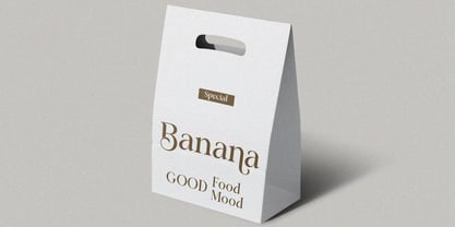 Classical Premiera Font Poster 5