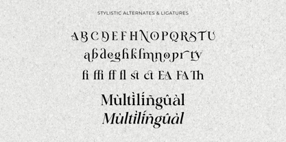 Classical Premiera Font Poster 15