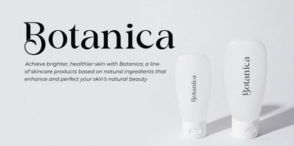 Classical Premiera Font Poster 6