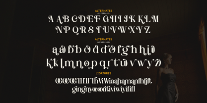 Glamour Coquette Font Poster 12