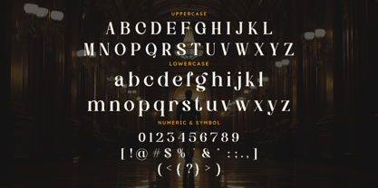 Glamour Coquette Font Poster 11