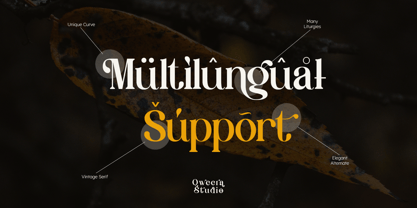 Glamour Coquette Font Poster 10