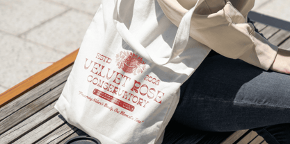 Abeleo Stamp Font Poster 4