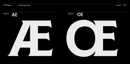 BT Glyphius Font Poster 8