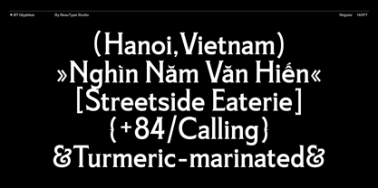 BT Glyphius Font Poster 5