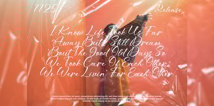 Bitteva Script Font Poster 13