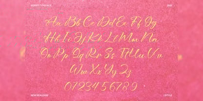 Bitteva Script Font Poster 3