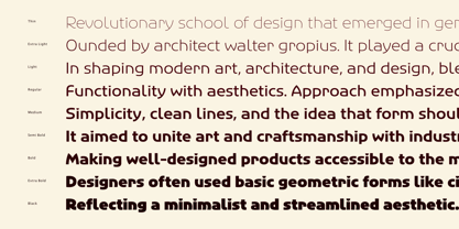 Agera Gothic Font Poster 3