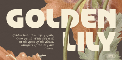 Agera Gothic Font Poster 2