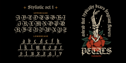 Ducky Black Font Poster 5