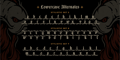 Ducky Black Font Poster 14