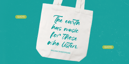 Satiate Ration Font Poster 12