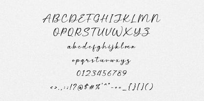 Wings Signature Font Poster 7