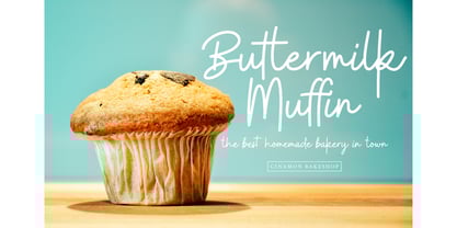 Buffalo Font Poster 2