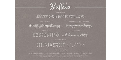 Buffalo Font Poster 10