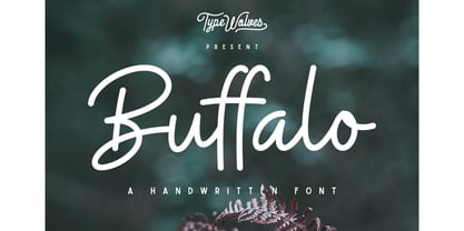 Buffalo Font Poster 1